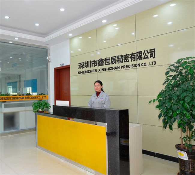 Китай Xinshizhan Precision Co., Ltd. Профиль компании